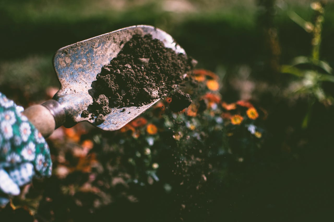 team-04 Close-up of a gardening shovel with soil, surrounded by vibrant blooms in an outdoor garden setting.